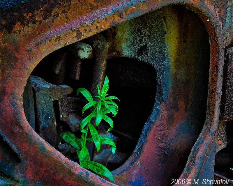 New Life.