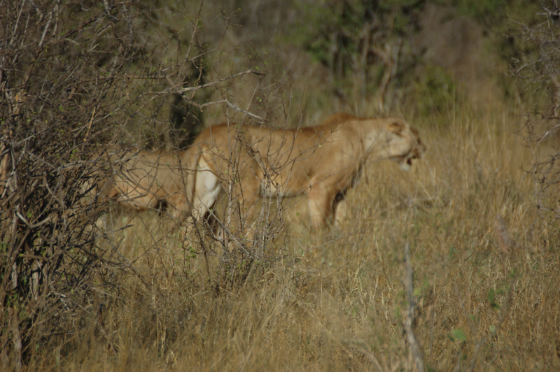 DSC_3679.JPG
