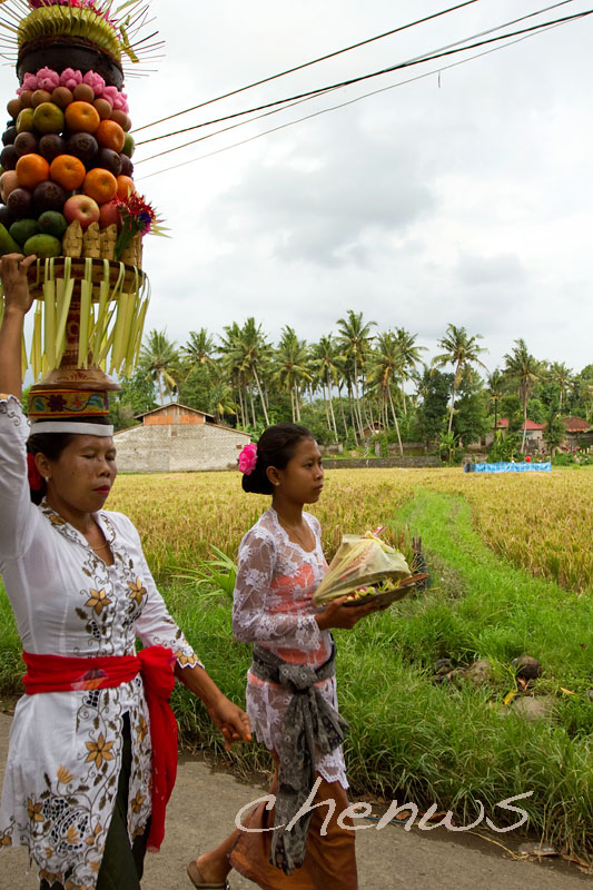 Procession through paddy fields _MG_2130.jpg