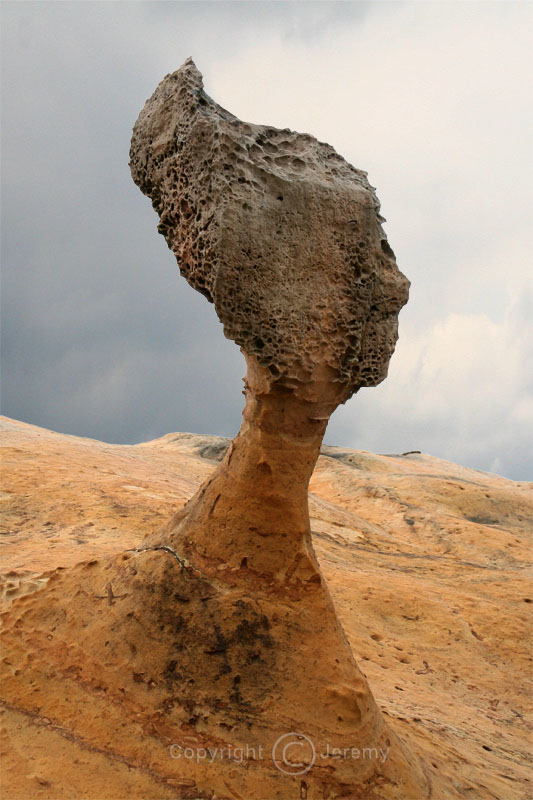 The Queens Head Rock, Yehliu (May-Jun 06)