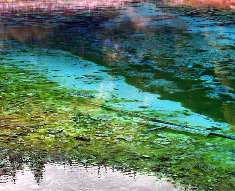 Multi-Color Pond (Aug 06)