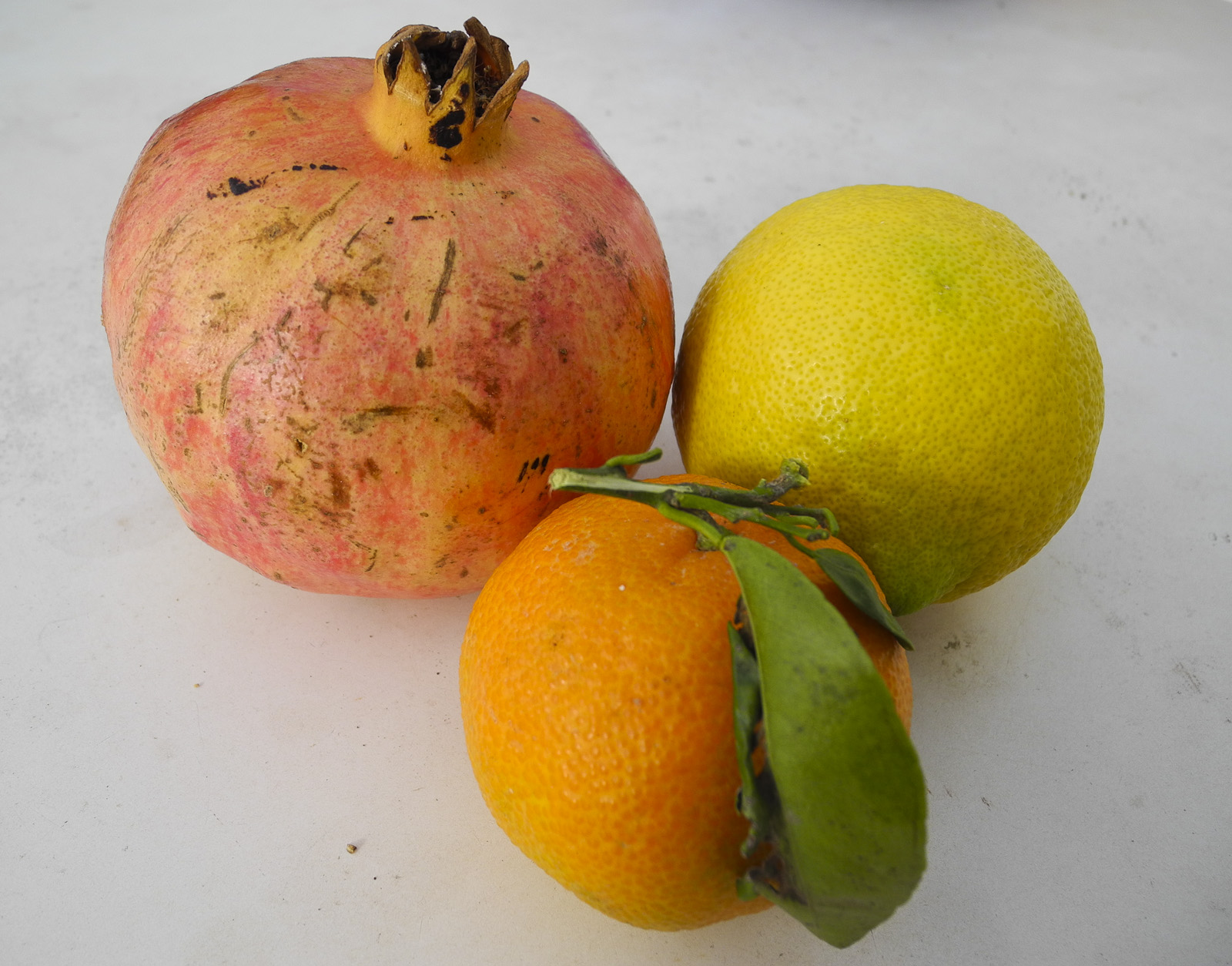 Fruit
