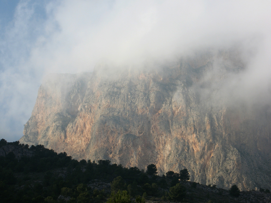 Ponoch in the cloud