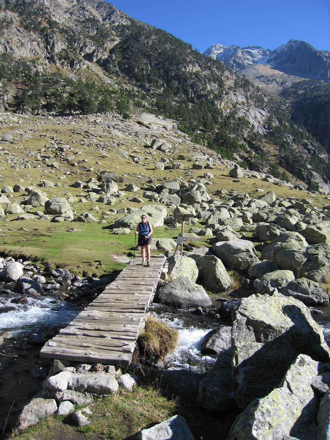 Pyrenean footbridge ver