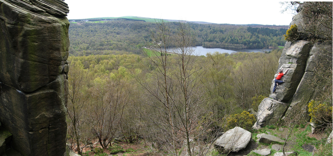 Rivelin Jonad wide