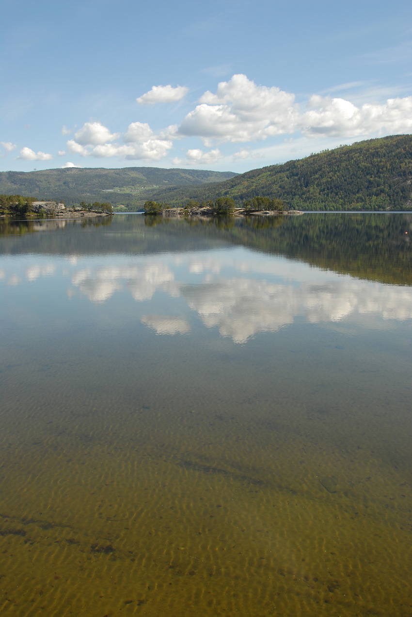 Nisser reflections