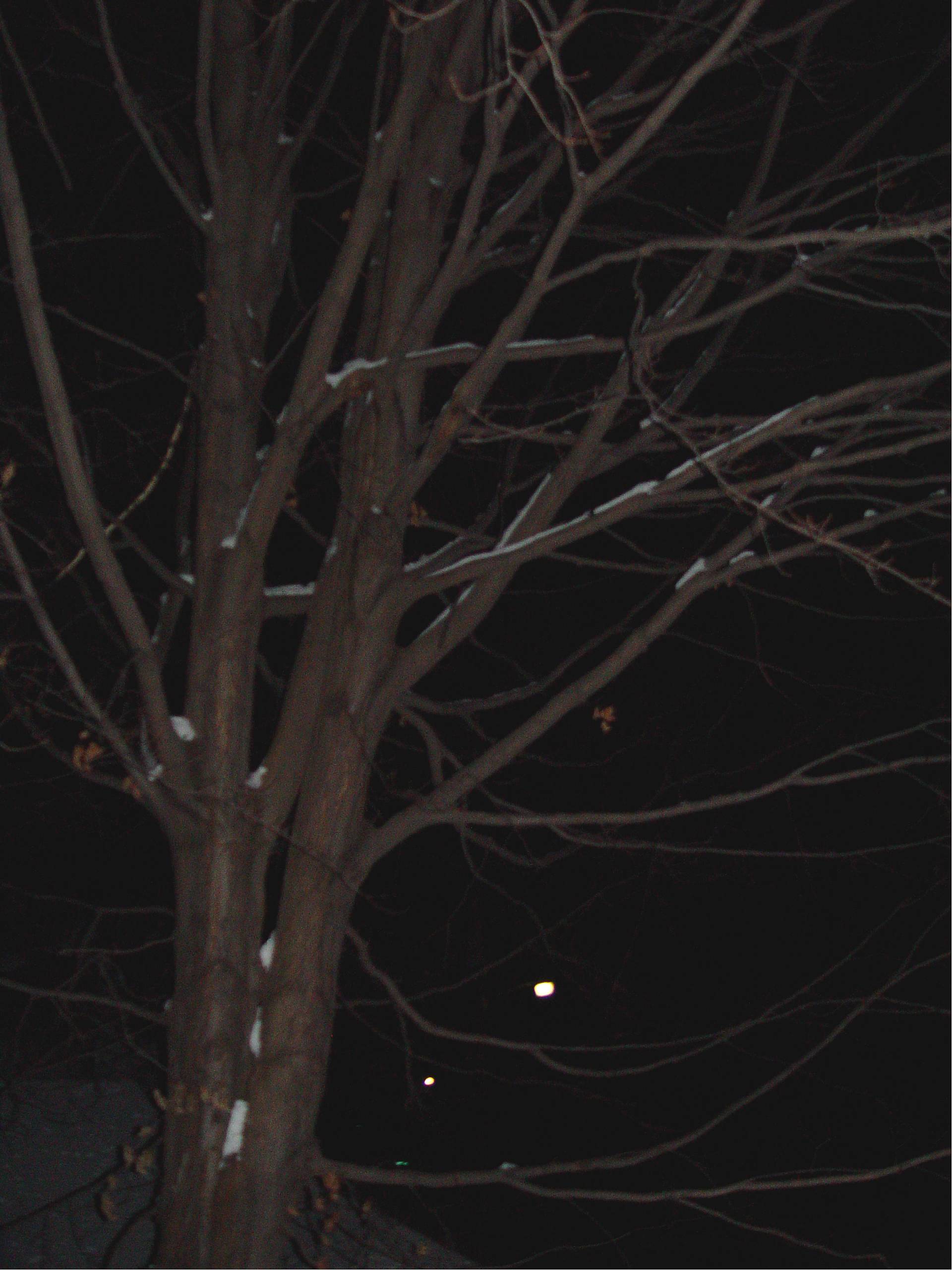 Brattleboro Vt 1jpg