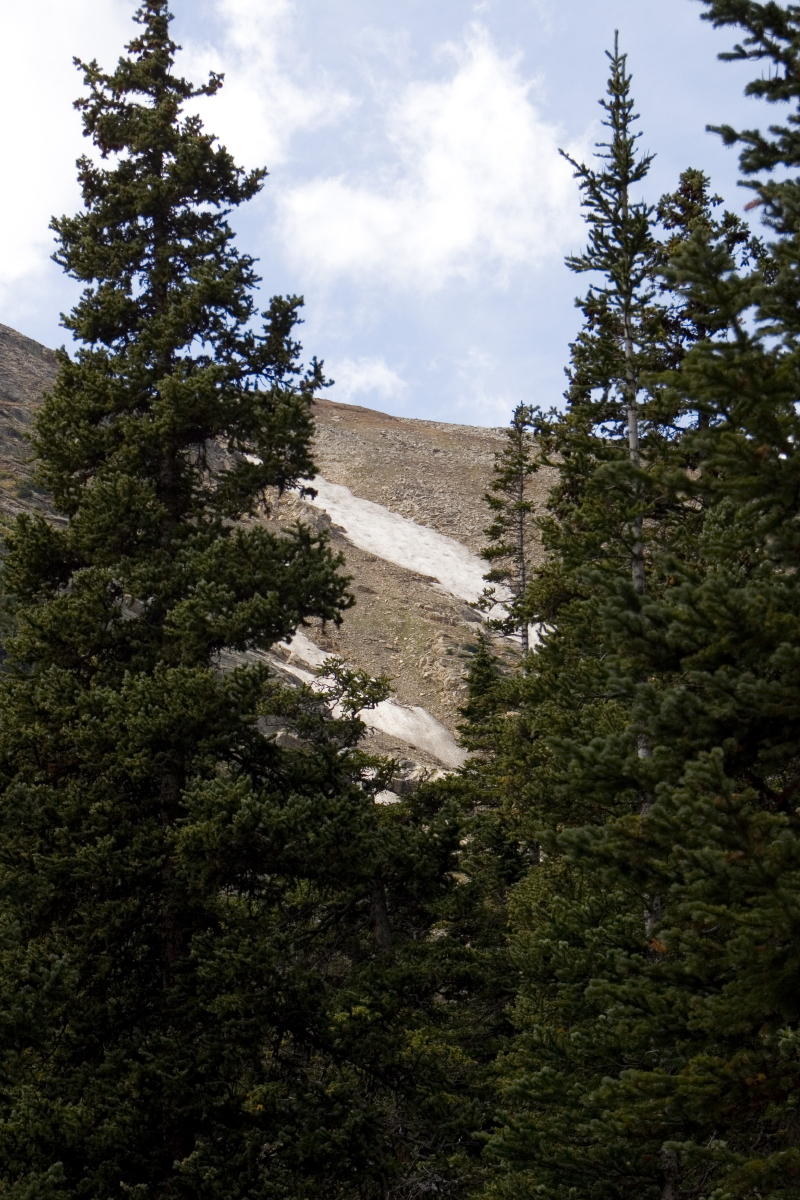 IMG_2791.JPG