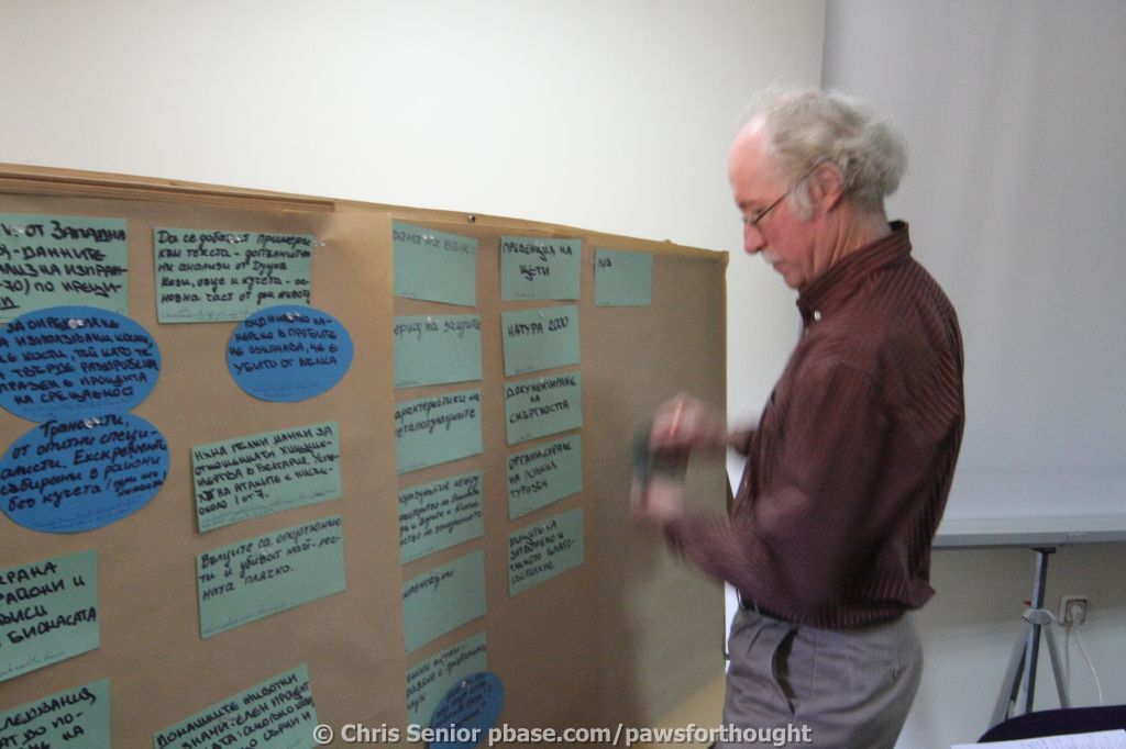 CS_0039.JPG