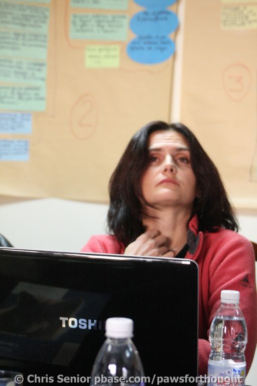 CS_0085.JPG