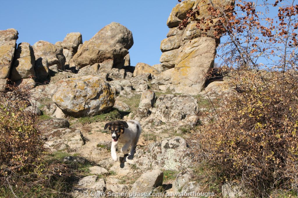 CS_0297.JPG