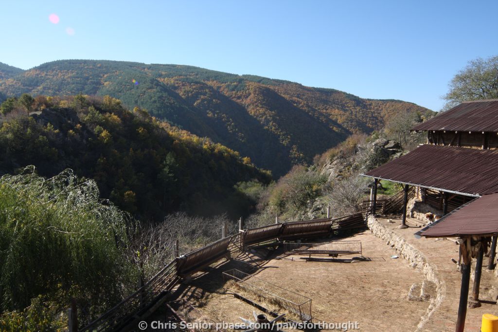 CS_0323.JPG