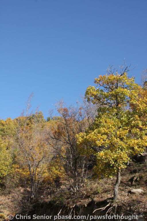 CS_0333.JPG