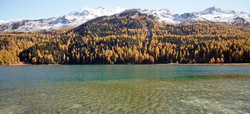 DSC06069.JPG