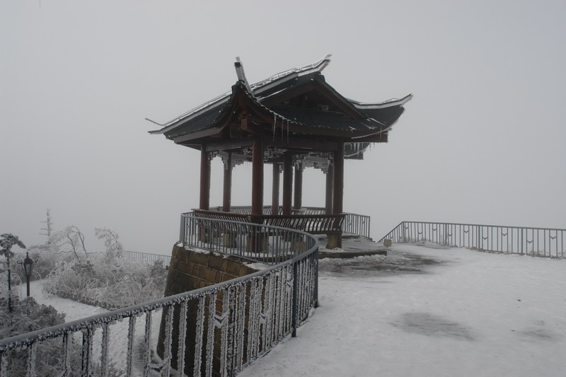 DSC06989.JPG