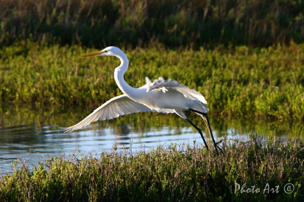 IMG_9078.JPG