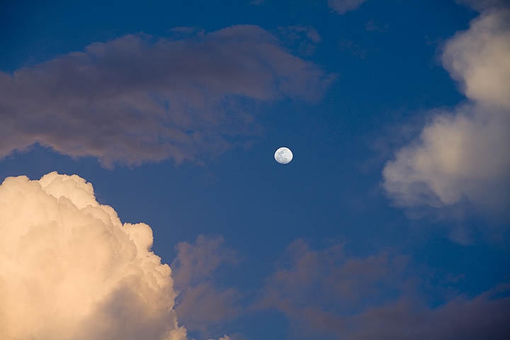Moon over Tupelo