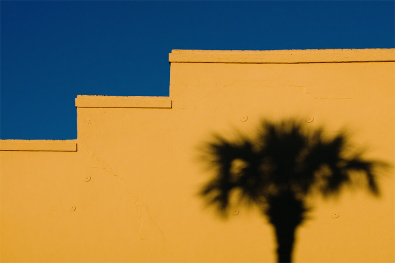 Tall Shadows