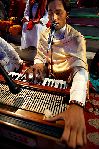 Harmonium Player
