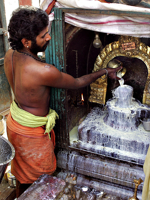 Siva Lingam