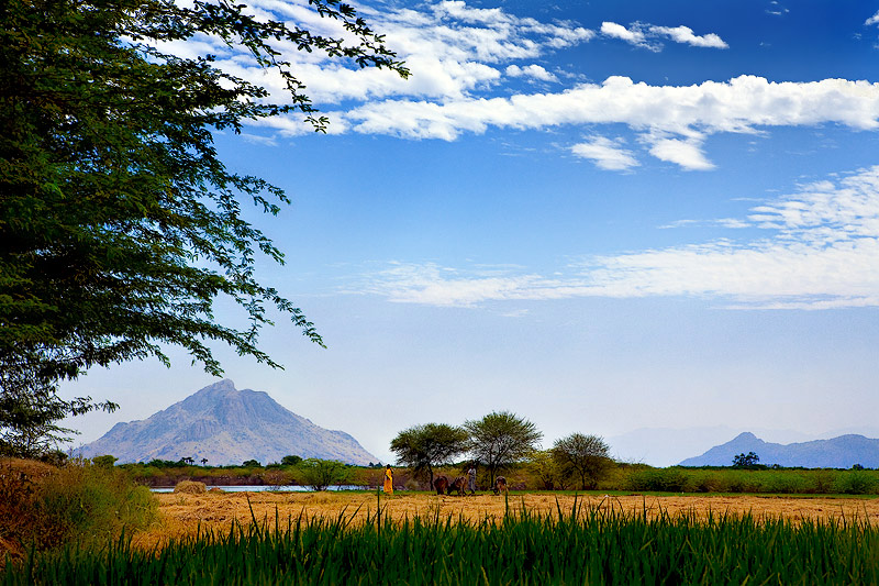 Countryside of Timmanatham