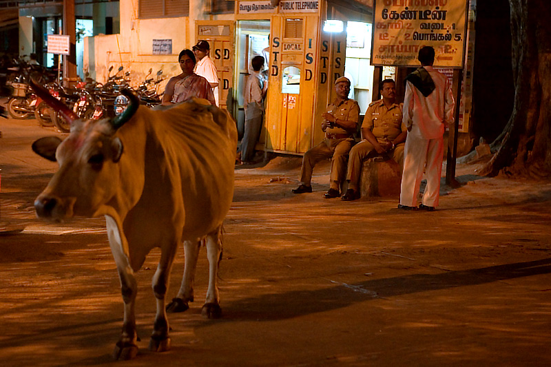 Street scene at night