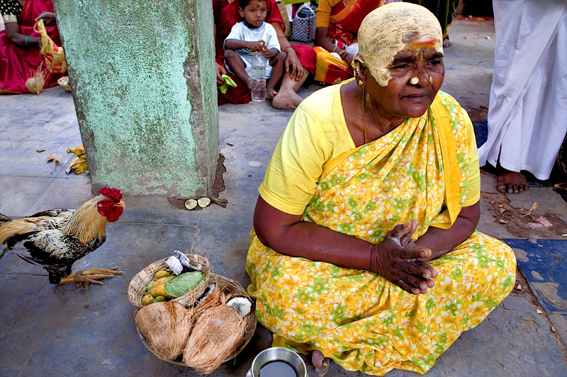 Offerings and devotion