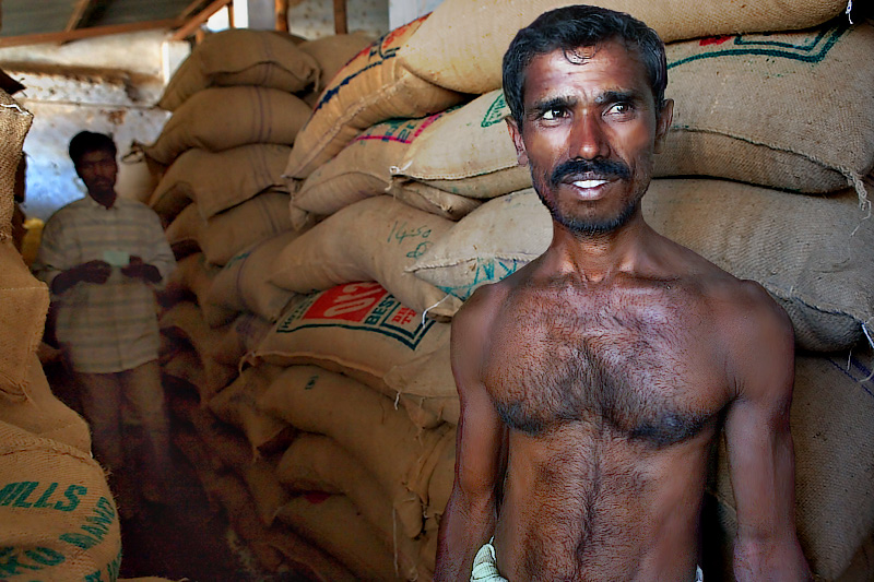 Sacks of rice