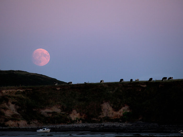 rising - whiting bay