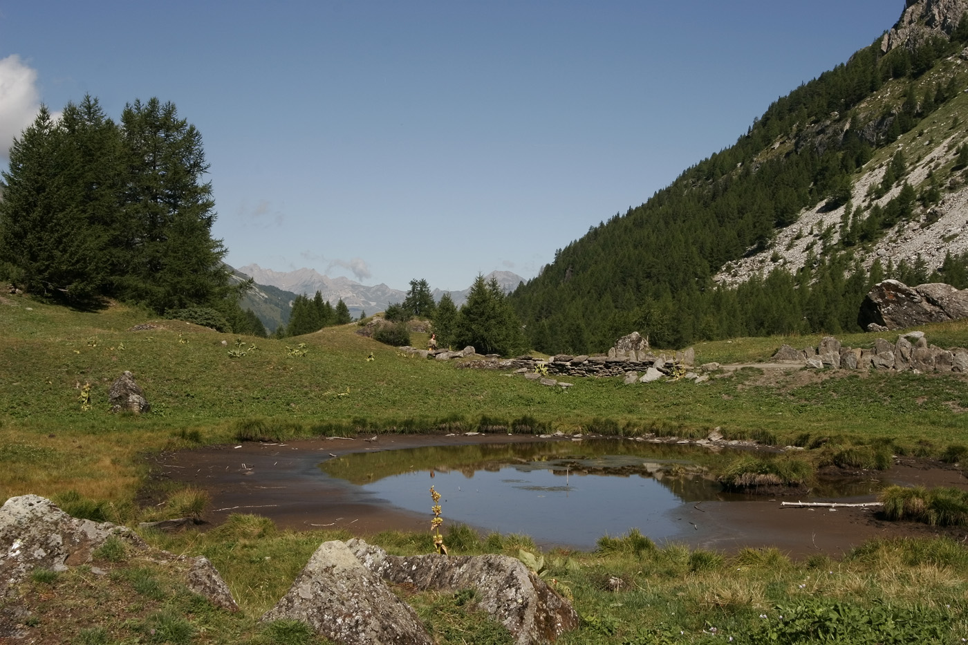 _MG_7148.jpg