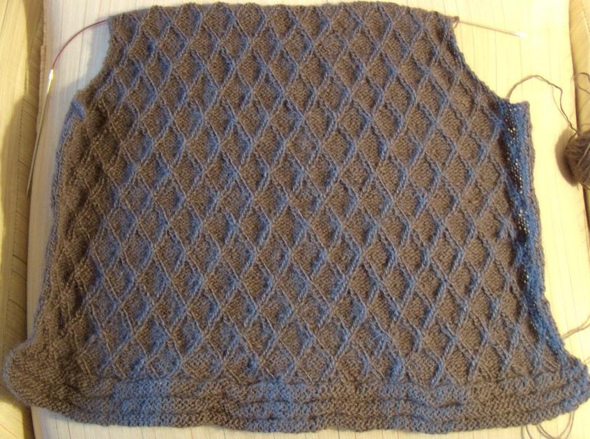Veronique In-Progress (Verena Fall 2010)
