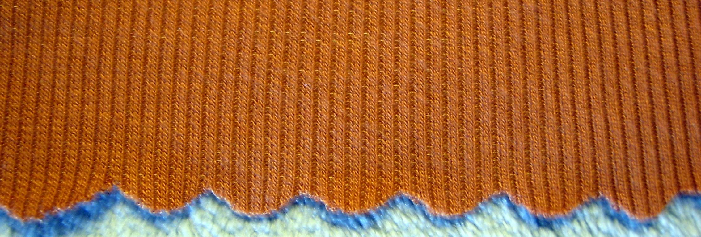 Close Up of Scallop Hem