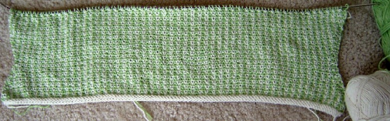Jaeger Tilly Progress1