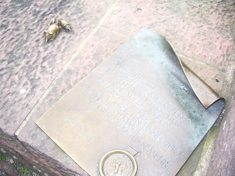 IMGP1371.JPG