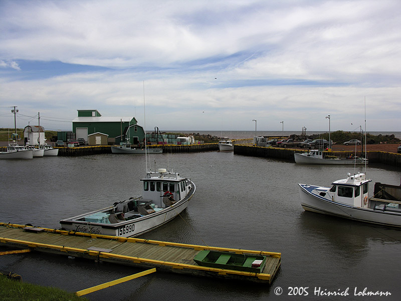 DSCN6292-web.jpg