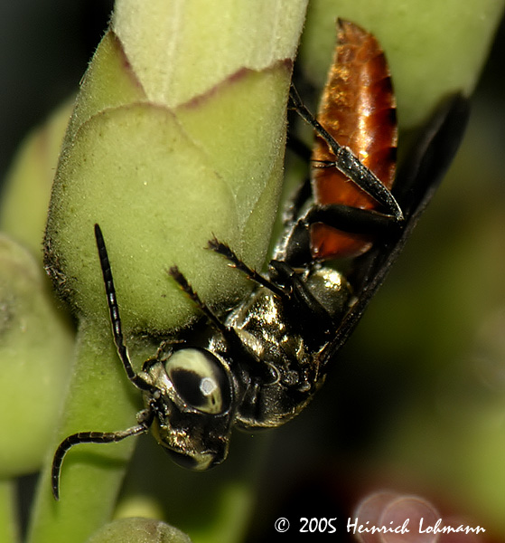 DSCN7376-web.jpg