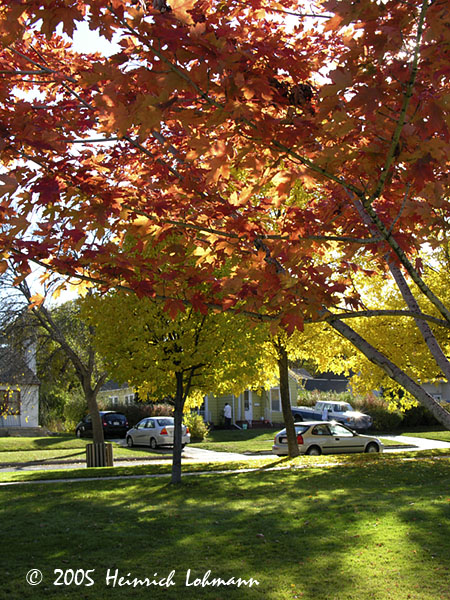 DSCN8123-web.jpg