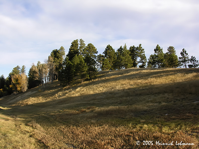 DSCN8130-web.jpg