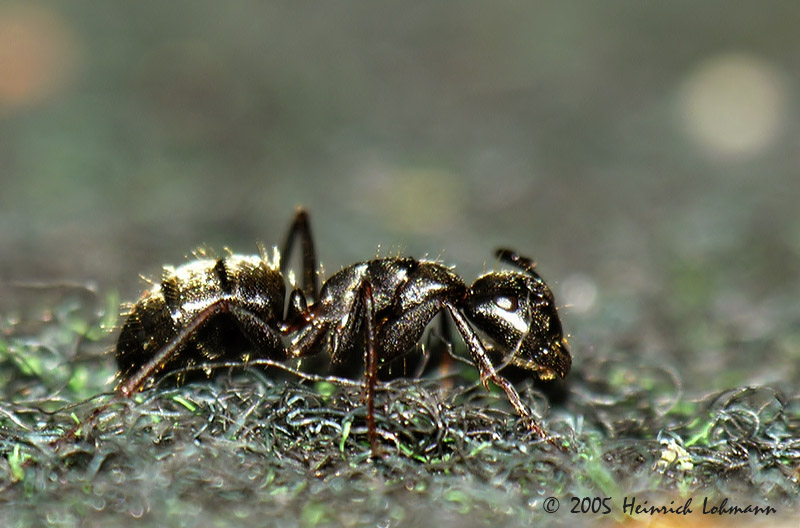 DSCN4919-web.jpg
