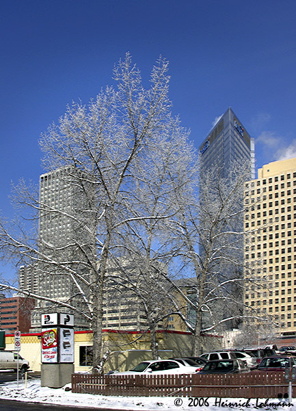 DSCN9228-web.jpg