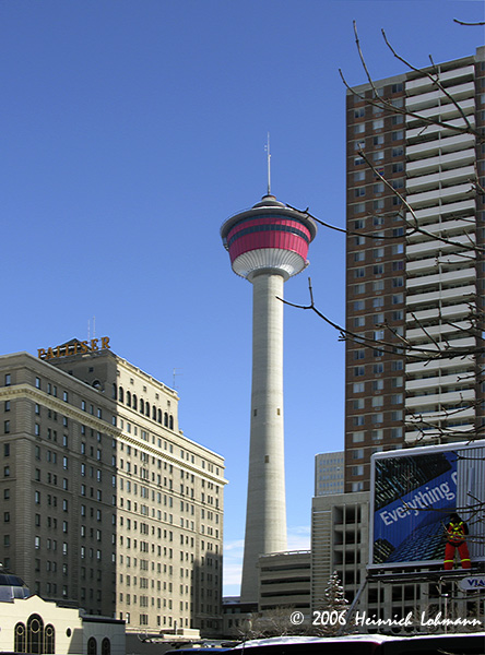 DSCN9303-web.jpg