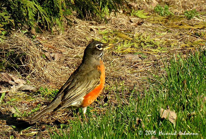 DSCN9885-web.jpg