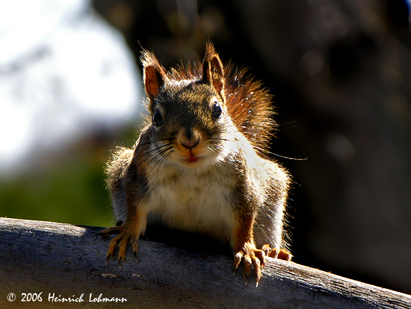 DSCN9974-web.jpg