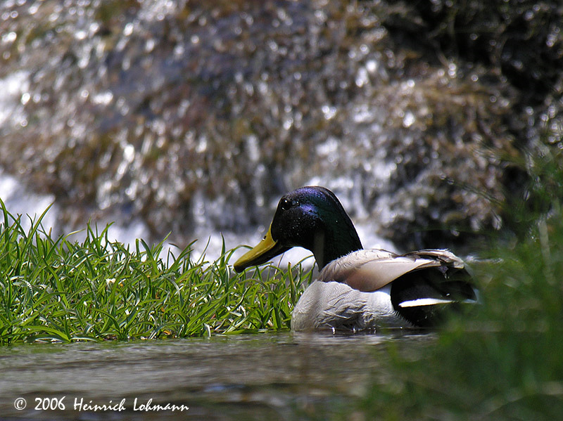 DSCN5005-web.jpg