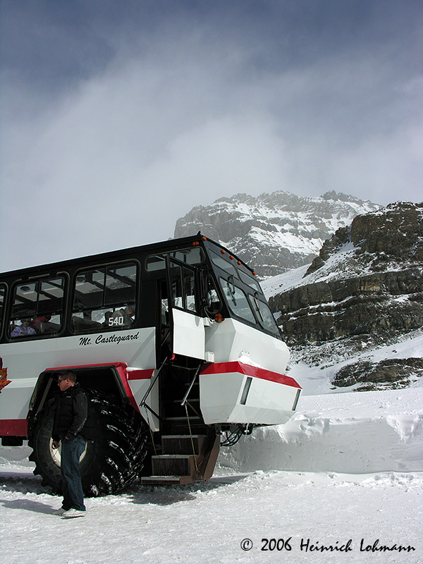 5168-web.jpg