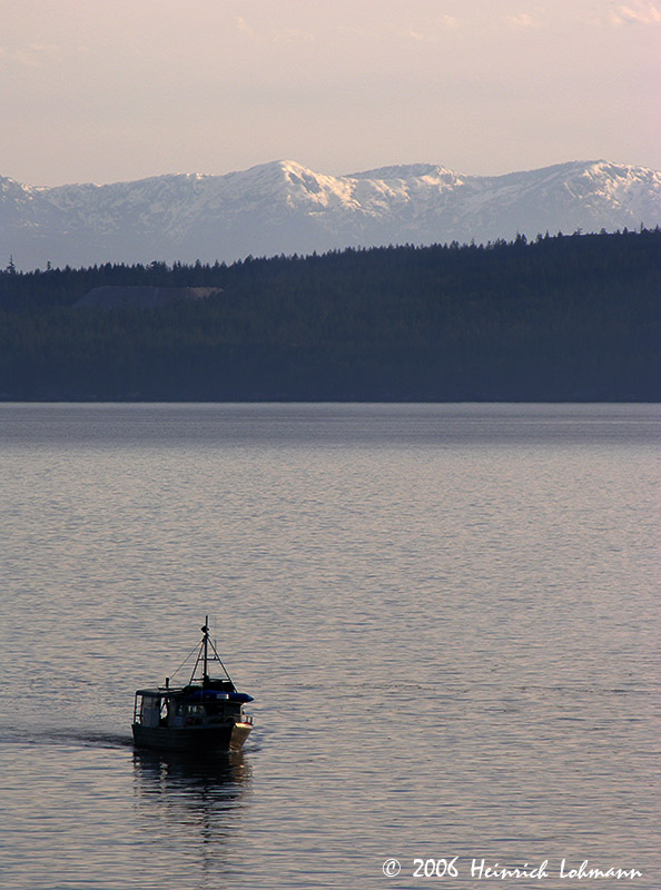7354-web.jpg