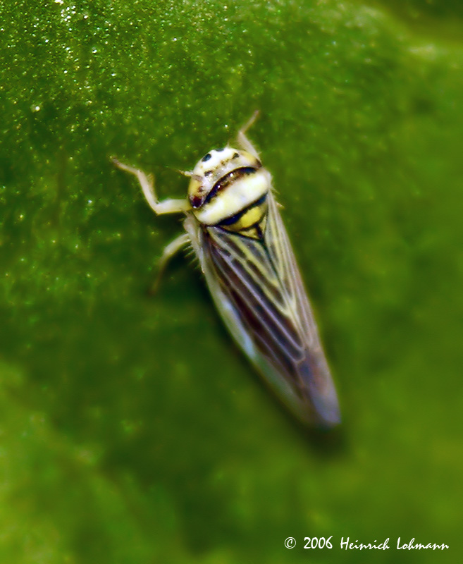 8614-web.jpg