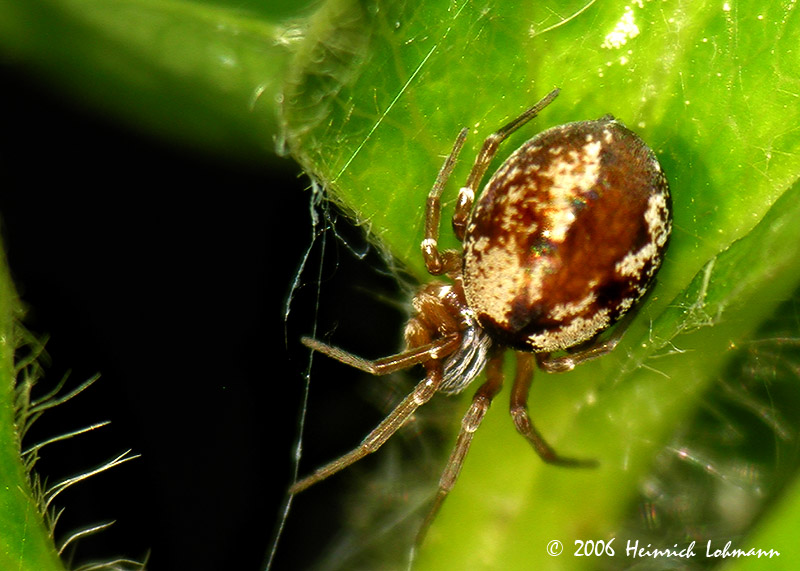 8623-web.jpg