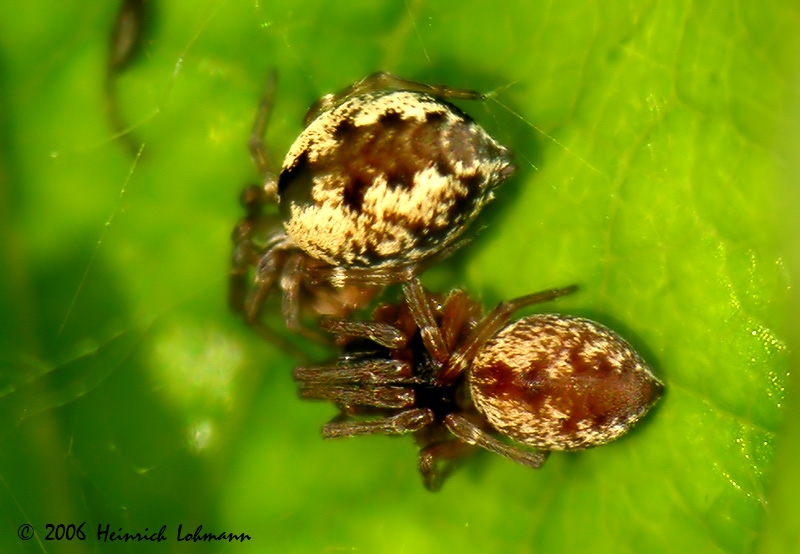 8632-web.jpg