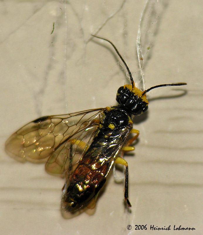 8655-web.jpg
